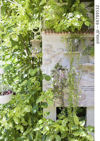 壁掛けプランター かわいいの写真素材