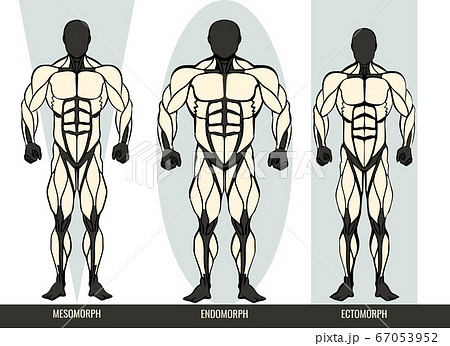 痩せ型 男性 挿絵のイラスト素材