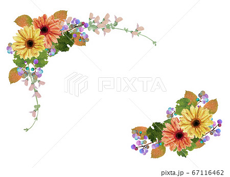 秋の花のイラスト素材集 ピクスタ