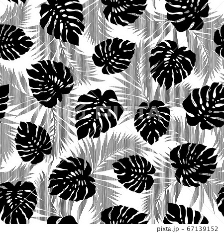 トロピカルリーフのイラスト素材 Pixta