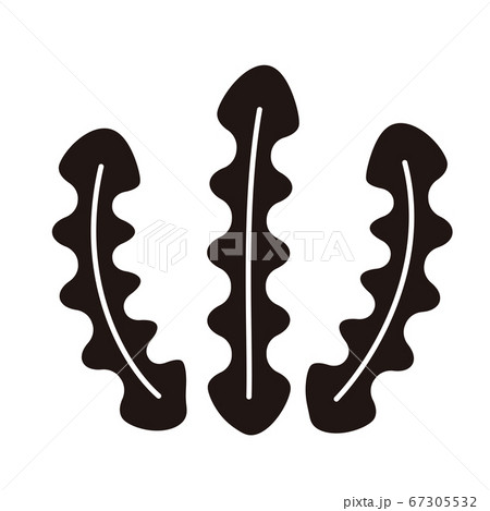 海藻 海草 わかめ ワカメのイラスト素材 Pixta