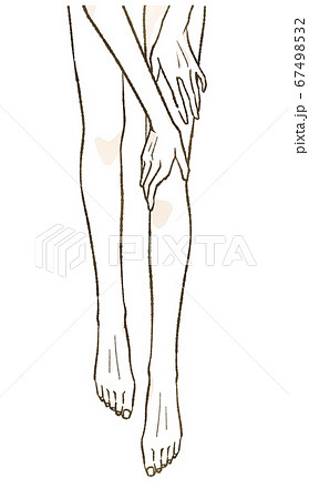 ふくらはぎのイラスト素材