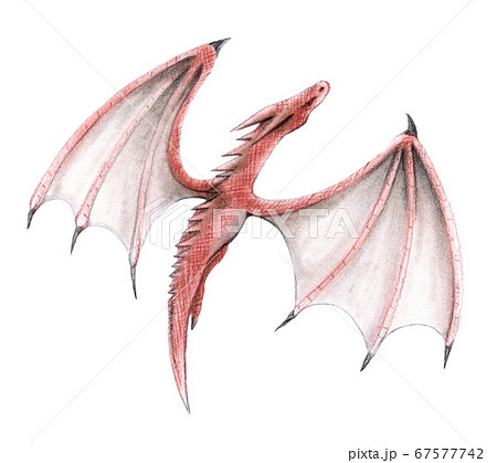 ドラゴン モンスター 赤 色鉛筆画のイラスト素材