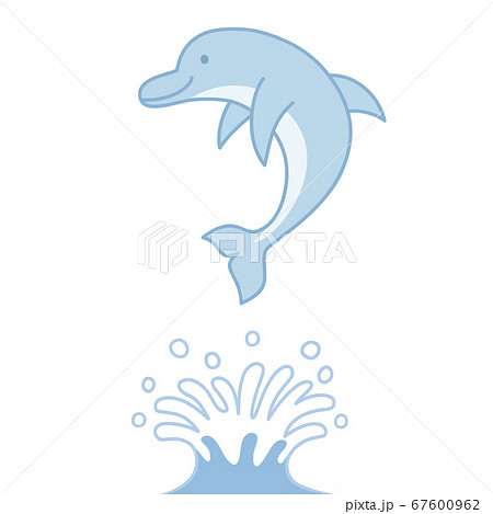 イルカのイラスト素材集 ピクスタ
