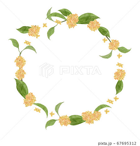 オレンジ色の花のイラスト素材