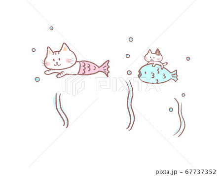 猫 イラスト 海 夏の写真素材