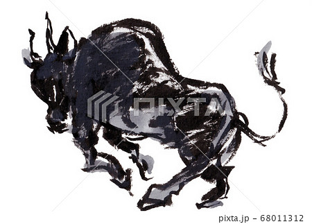 猛牛 闘牛の写真素材 - PIXTA