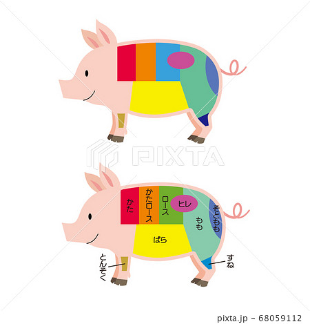 豚 豚肉 肉 部位のイラスト素材