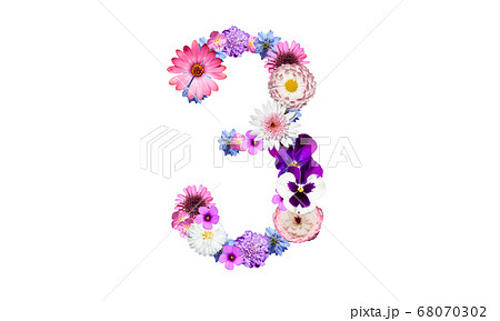 數字花朵花花卉照片素材