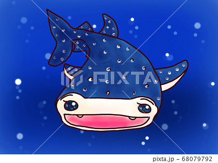 ジンベエザメのイラスト素材