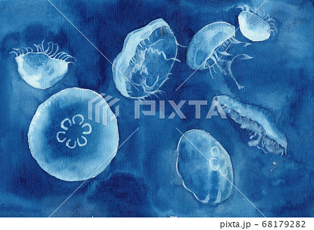 海月 水槽 くらげ 水族館のイラスト素材