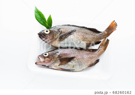 魚 ガヤ エゾメバル 食べ物の写真素材