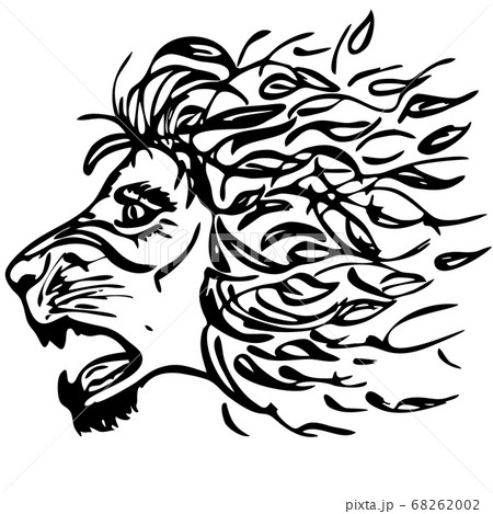 刺青 ライオン 獅子 スケッチのイラスト素材