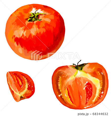 トマト断面 切り口のイラスト素材