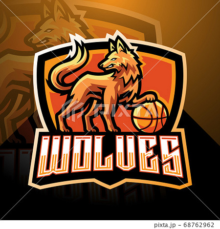 ベクター バスケットボール 動物 キャラクターのイラスト素材