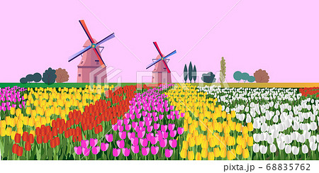 チューリップ 風車 オランダのイラスト素材