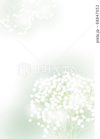 花 かすみ草のイラスト素材