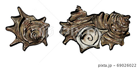 巻貝のイラスト素材
