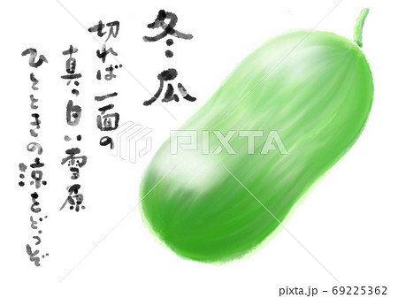 冬瓜 イラスト とうがんのイラスト素材