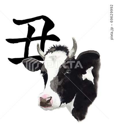 乳牛 ホルスタイン 牛のイラスト素材
