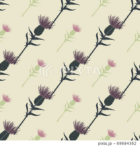 ゴボウ 花のイラスト素材