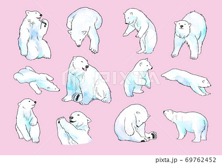 白熊のイラスト素材