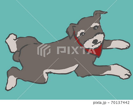 伏せ 犬のイラスト素材