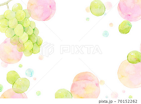 マスカットのイラスト素材