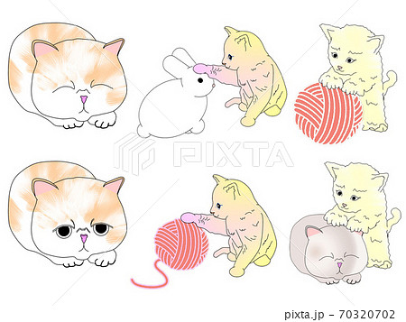子ねこの写真素材