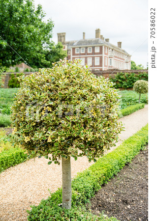 イギリス庭園の写真素材