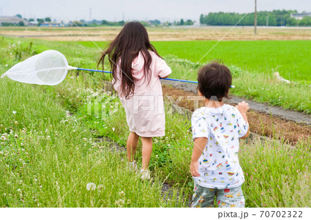 女の子 後ろ姿 子供 田園の写真素材