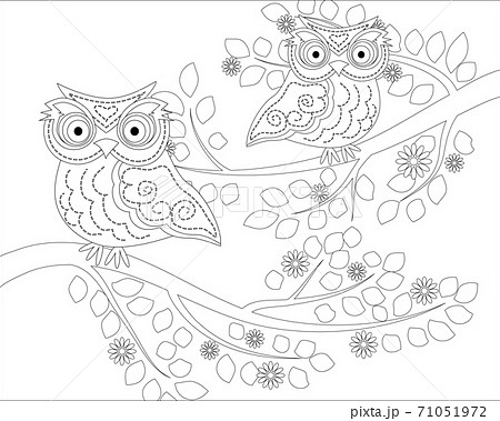 フクロウ 鳥 モノクロ ふくろうのイラスト素材