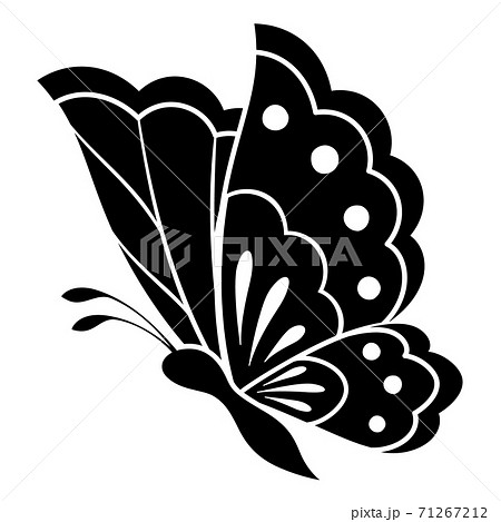 白黒蝶の写真素材