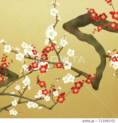 花 植物 梅 屏風のイラスト素材 - PIXTA