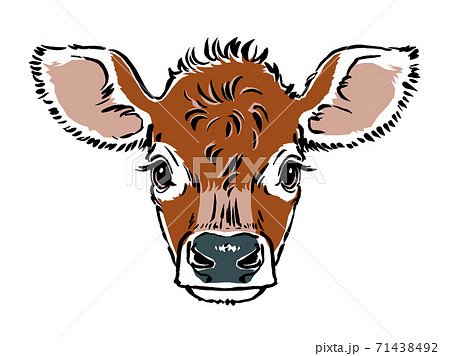 牛の顔のイラスト素材