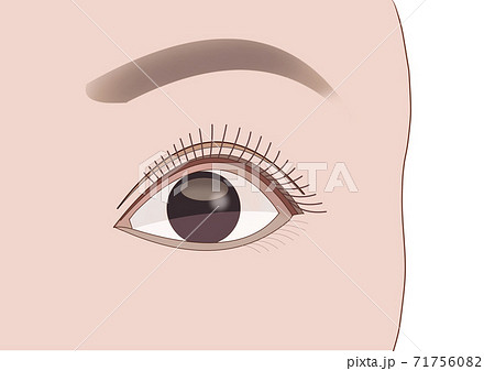 アイメイクのイラスト素材