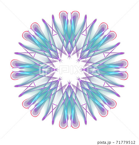 コンパス フラワーの写真素材