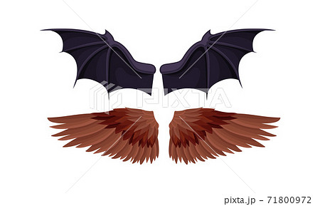 こうもり コウモリ 伸び 翼のイラスト素材