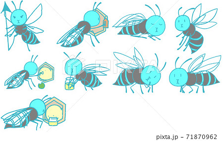 スズメバチ 蜂 昆虫のイラスト素材