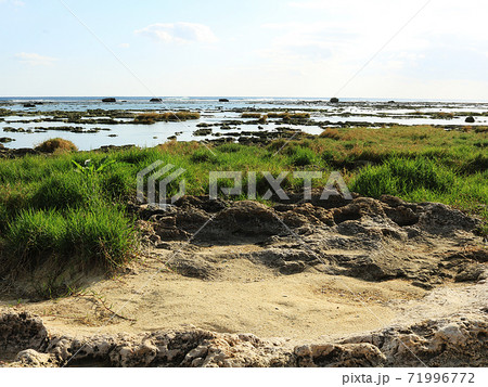 米須海岸の写真素材