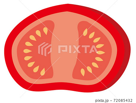 とまと トマト 断面 断面図のイラスト素材