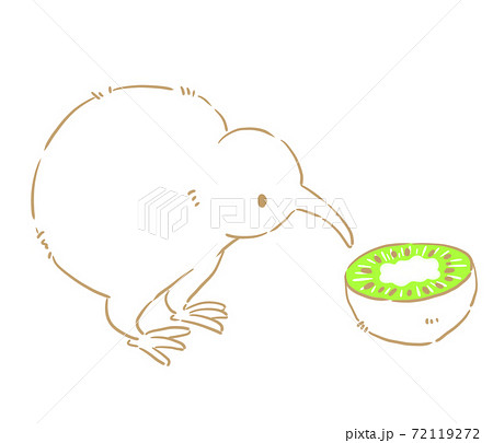 キーウィ 鳥 白背景 かわいいのイラスト素材