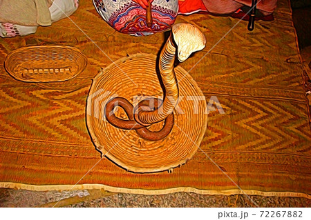 蛇笛の写真素材