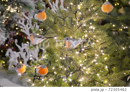 クリスマス 綺麗 素敵 イルミネーションの写真素材