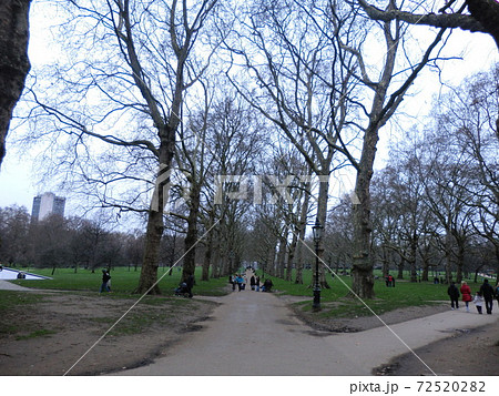 イギリス 並木 遊歩道 ロンドンの写真素材