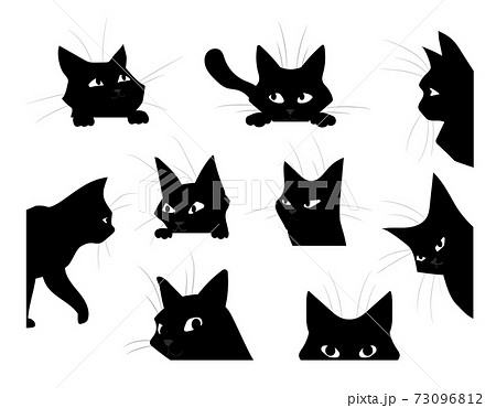 猫 黒猫 キャラクター 表情のイラスト素材