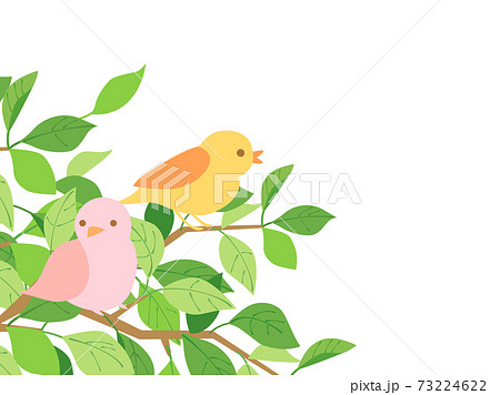 葉 新緑 leaf 鳥のイラスト素材 - PIXTA