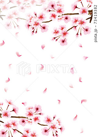 桜 花見 幻想的 輝きのイラスト素材