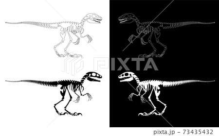 ティラノサウルス 恐竜 骨 化石のイラスト素材