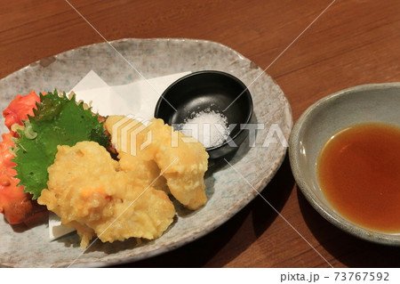 老海鼠の写真素材